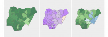 Nigeria Detailed Household Visualization
