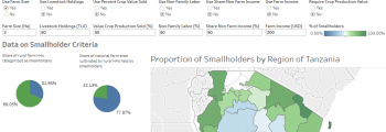 Solo Tanzania Smallholder Definitions